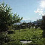 帕丽亚住宿加早餐旅馆 住宿加早餐酒店