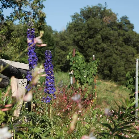 Bed & Breakfast La Casa Di Paglia