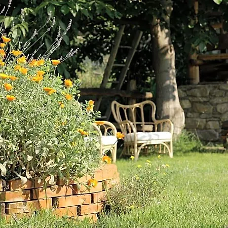La Casa Di Paglia 3* Verrayes