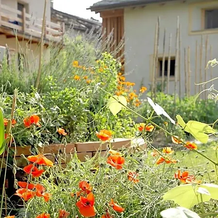Alojamento de Acomodação e Pequeno-almoço La Casa Di Paglia Verrayes