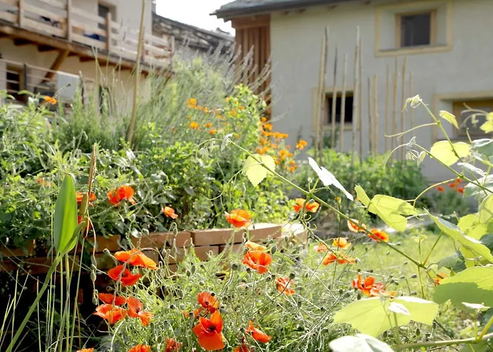 Bed & Breakfast La Casa Di Paglia 3*