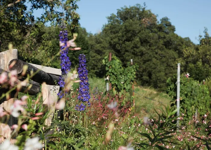 Bed & Breakfast La Casa Di Paglia
