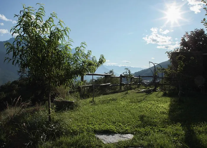 La Casa Di Paglia Bed & Breakfast